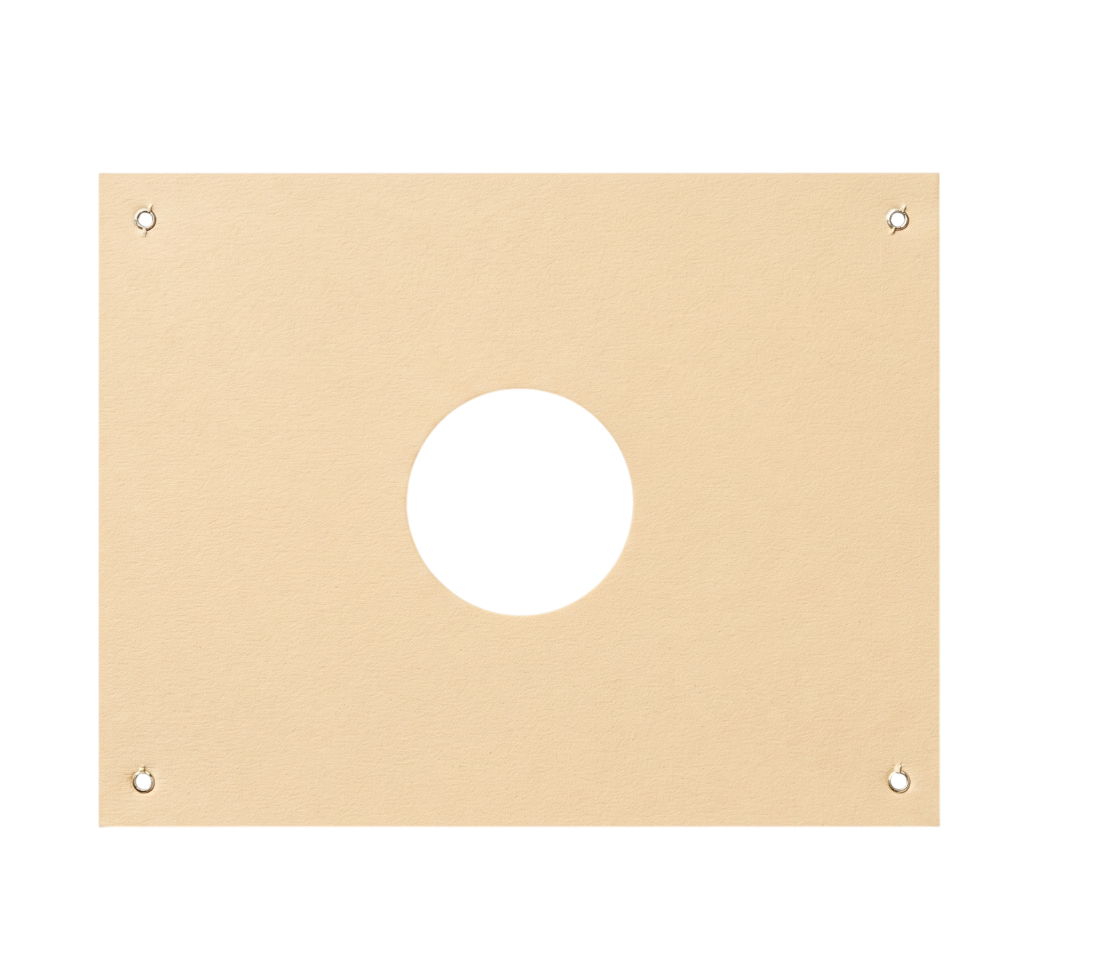 10M Electronic Target (Pistol)